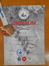 Чемпионат и Первенство по Тхэквондо МФТ